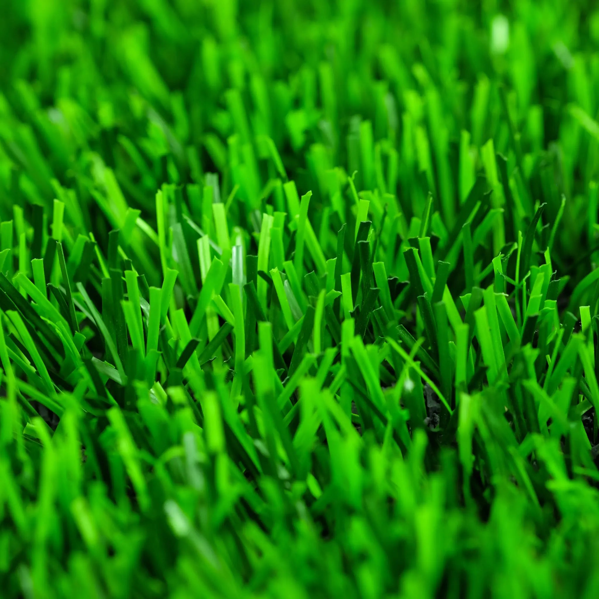 Artificial Grass - HEVIGRUP